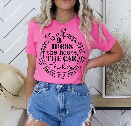 It's All A Mess The House, The Car, The Kids, My Hair, My Shirt, My Life
